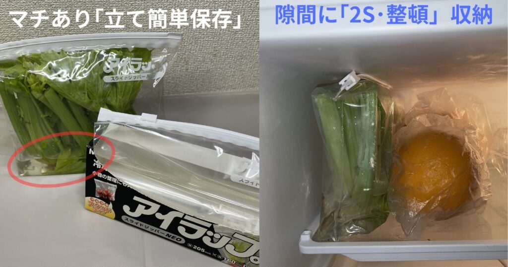 スライドジップ　セロリの縦置き冷蔵庫