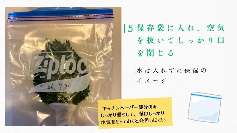 大葉の冷蔵保存手順：ジップロックに入れて空気を抜き密閉保存する方法